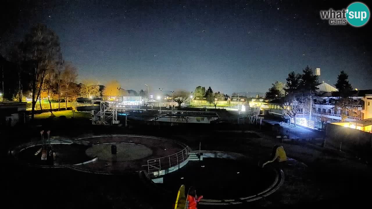 Celje – Sommerpool