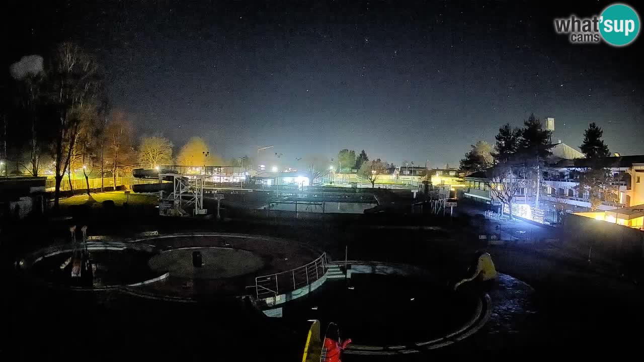 Celje – Piscina estiva