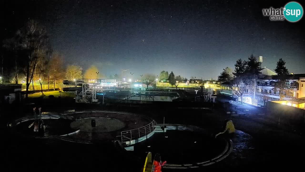 Celje – ljetni bazen