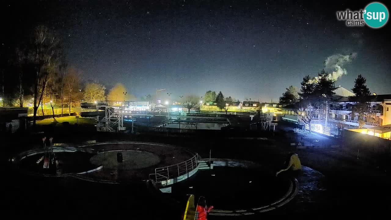 Celje – Letno kopališče