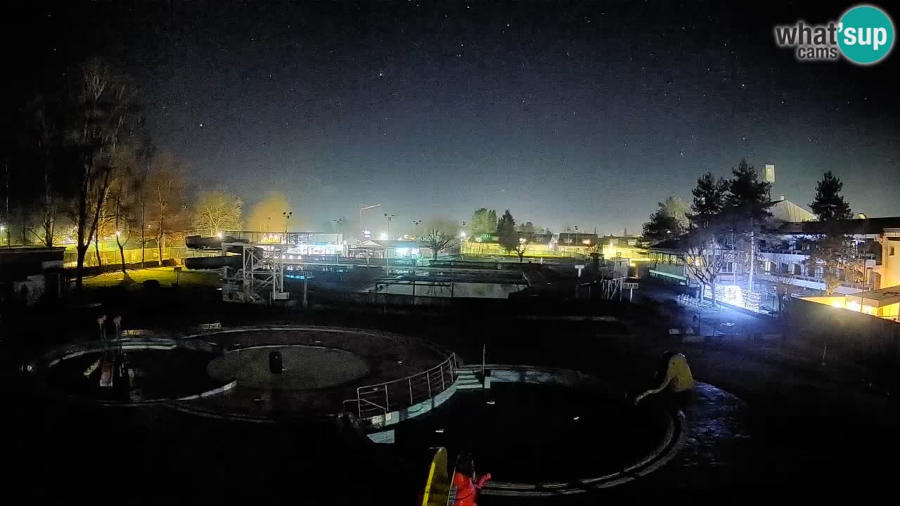 Celje – ljetni bazen