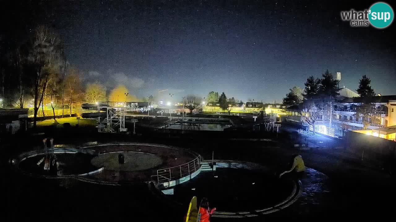 Celje summer open-air swimming pool