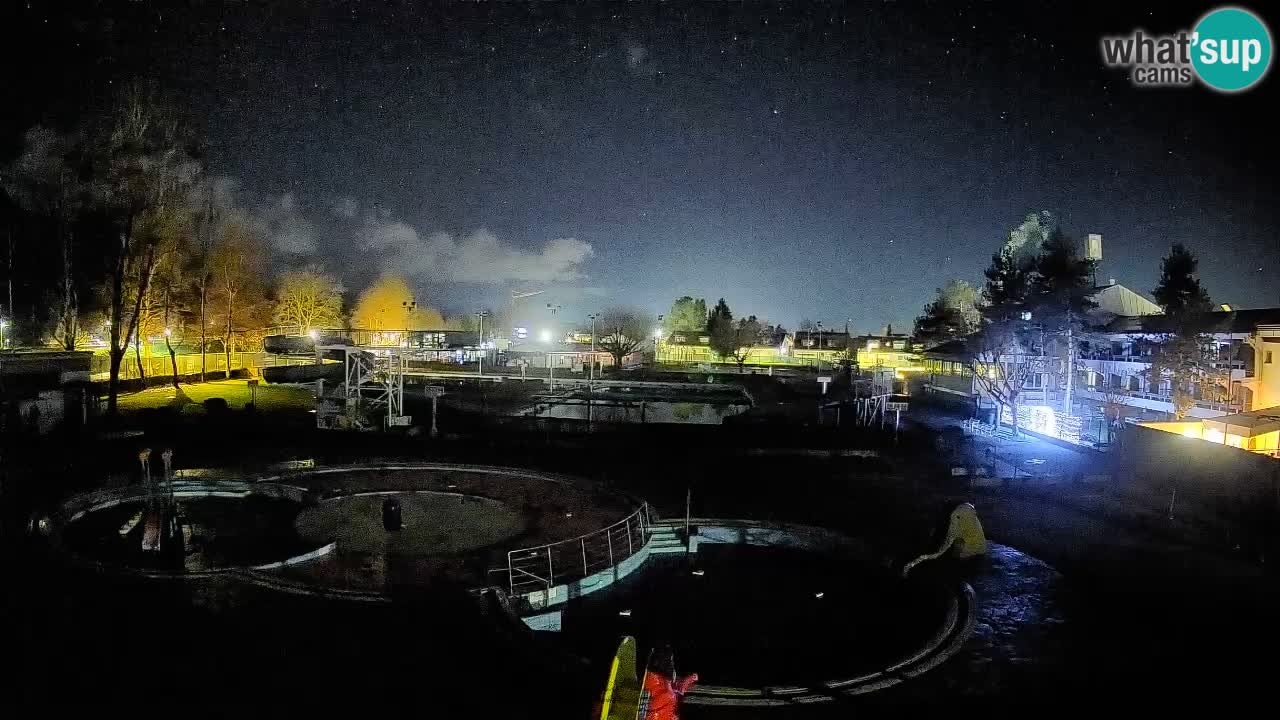 Celje – Piscina estiva