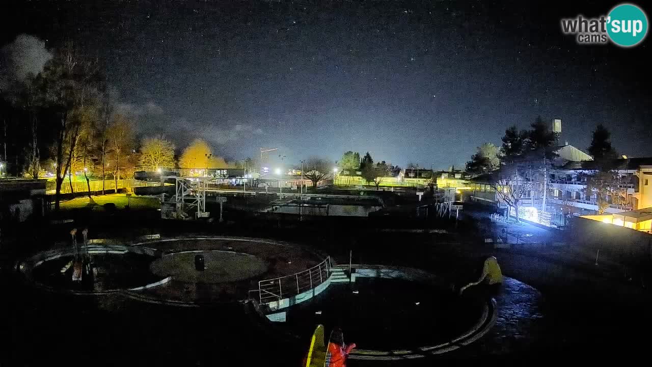 Celje – piscina al aire libre