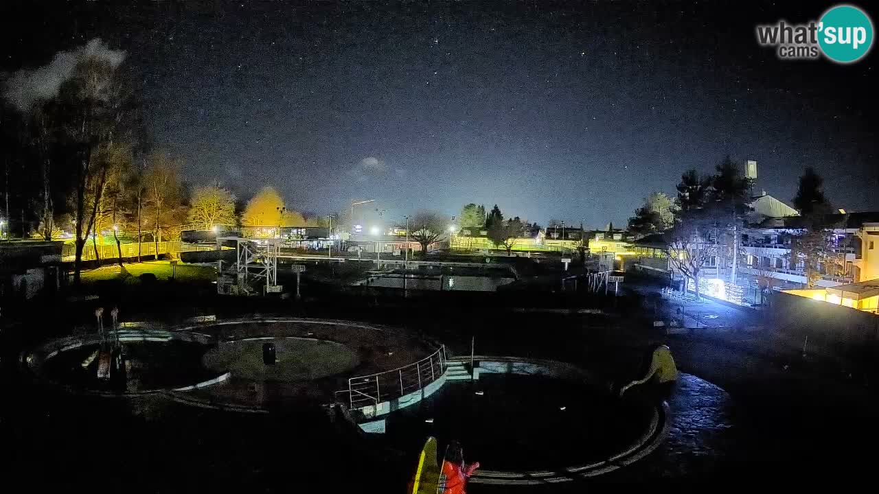 Celje – Piscina estiva