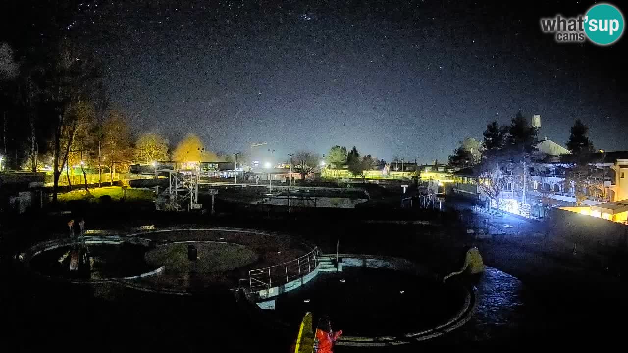 Celje – Piscine d’été