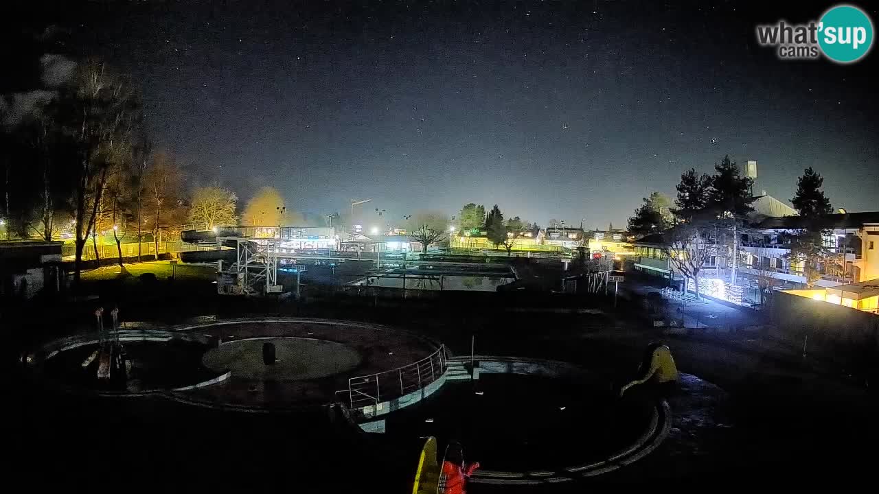 Celje – ljetni bazen