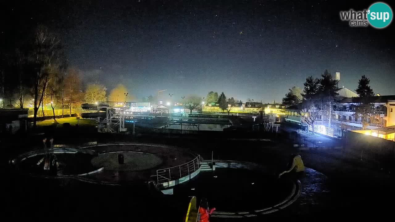 Celje – Sommerpool