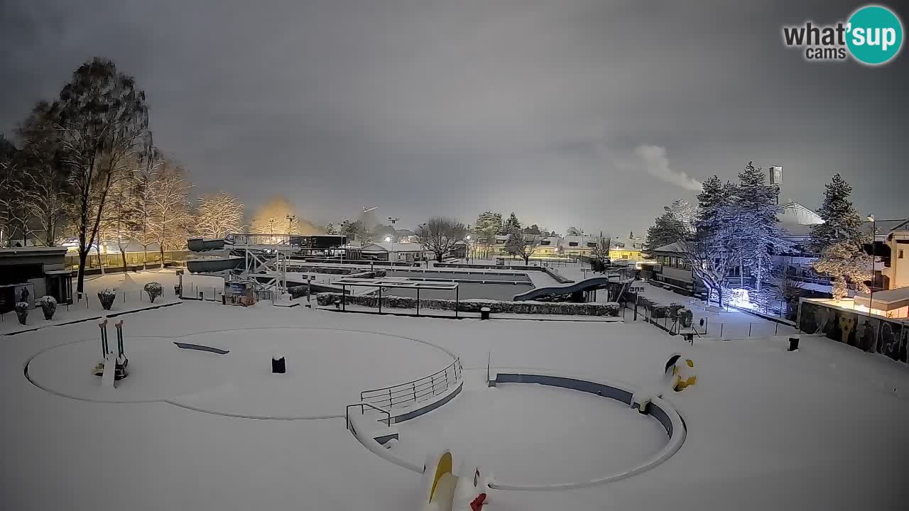 Celje – Piscina estiva