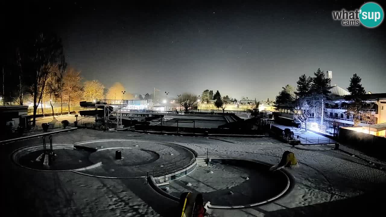 Celje – Letno kopališče