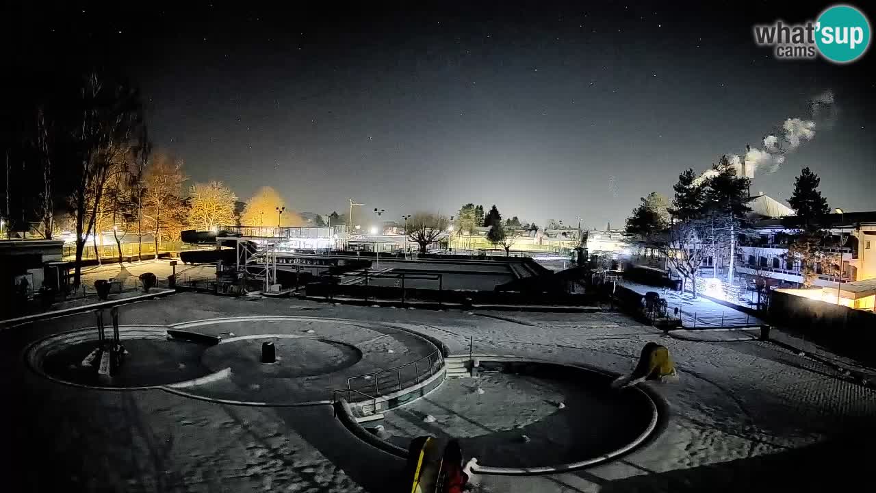 Celje summer open-air swimming pool
