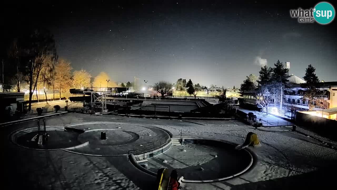 Celje summer open-air swimming pool