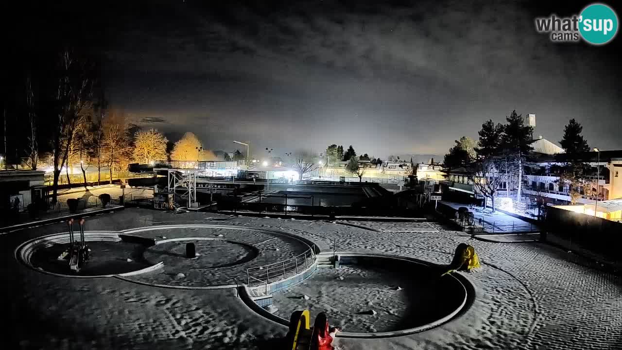 Celje – Letno kopališče