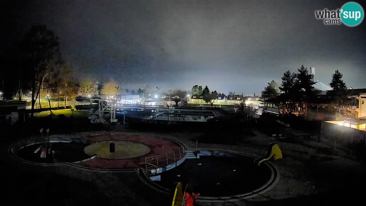 Celje – Piscine d’été