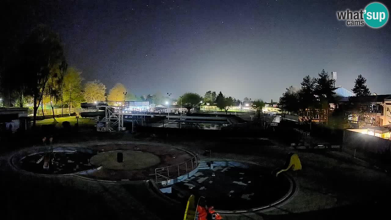 Celje – Letno kopališče