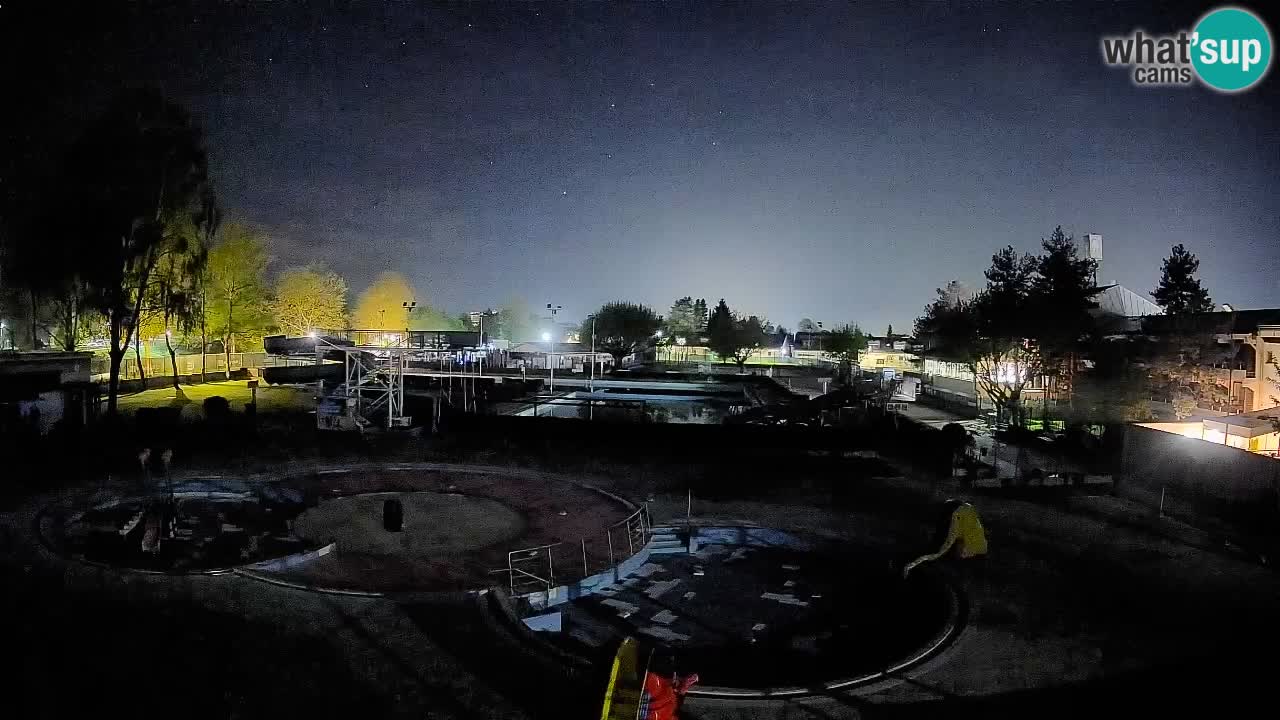 Celje – Letno kopališče