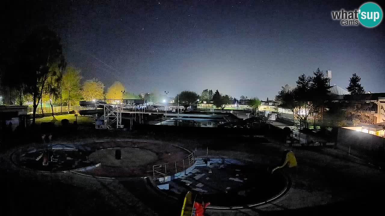 Celje summer open-air swimming pool