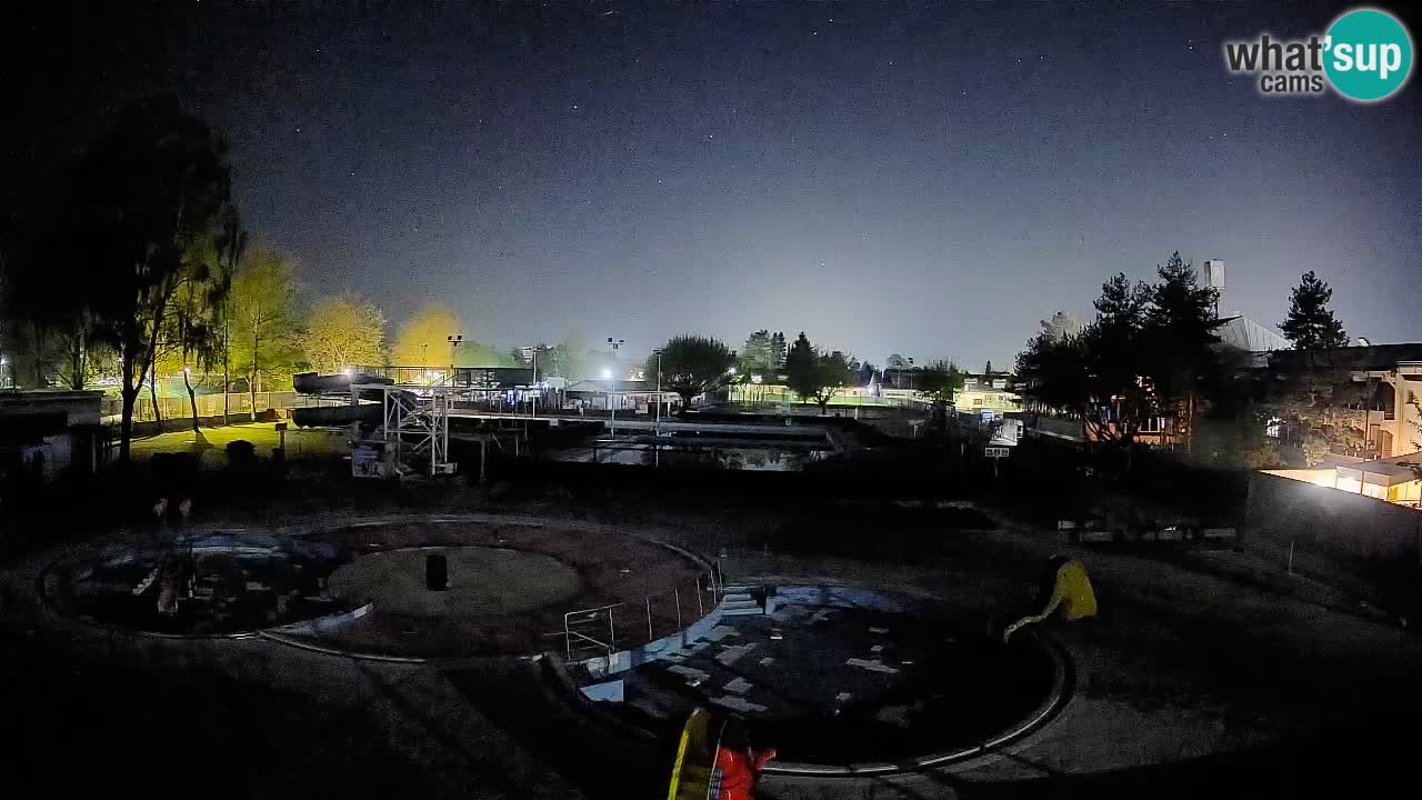 Celje – Letno kopališče