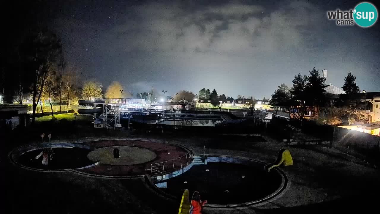 Celje – Piscina estiva