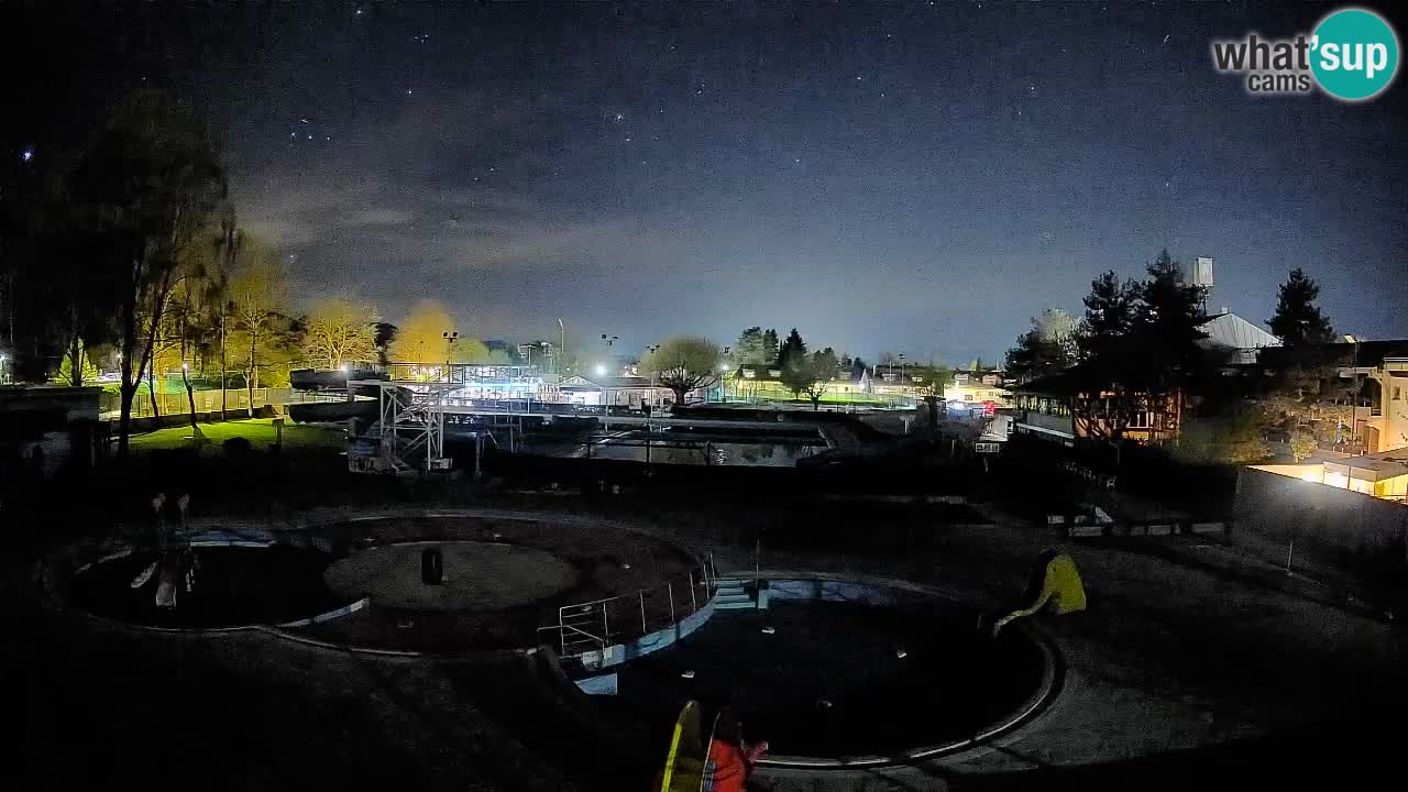 Celje – Piscina estiva