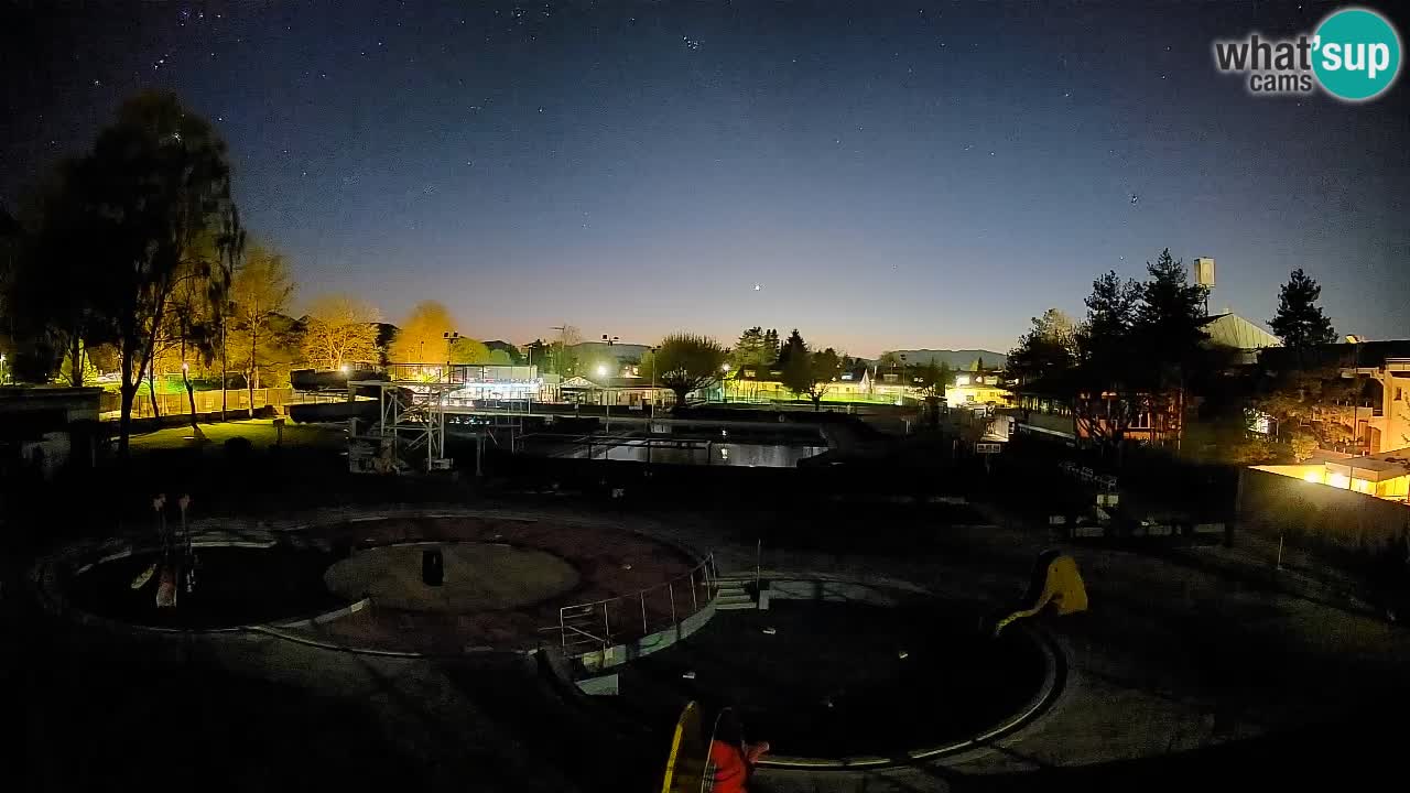 Celje – Piscine d’été