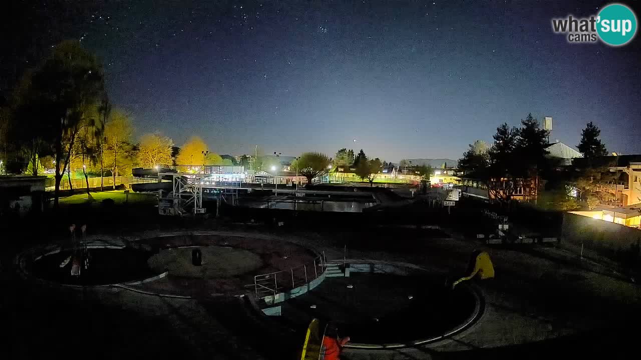 Celje – Letno kopališče