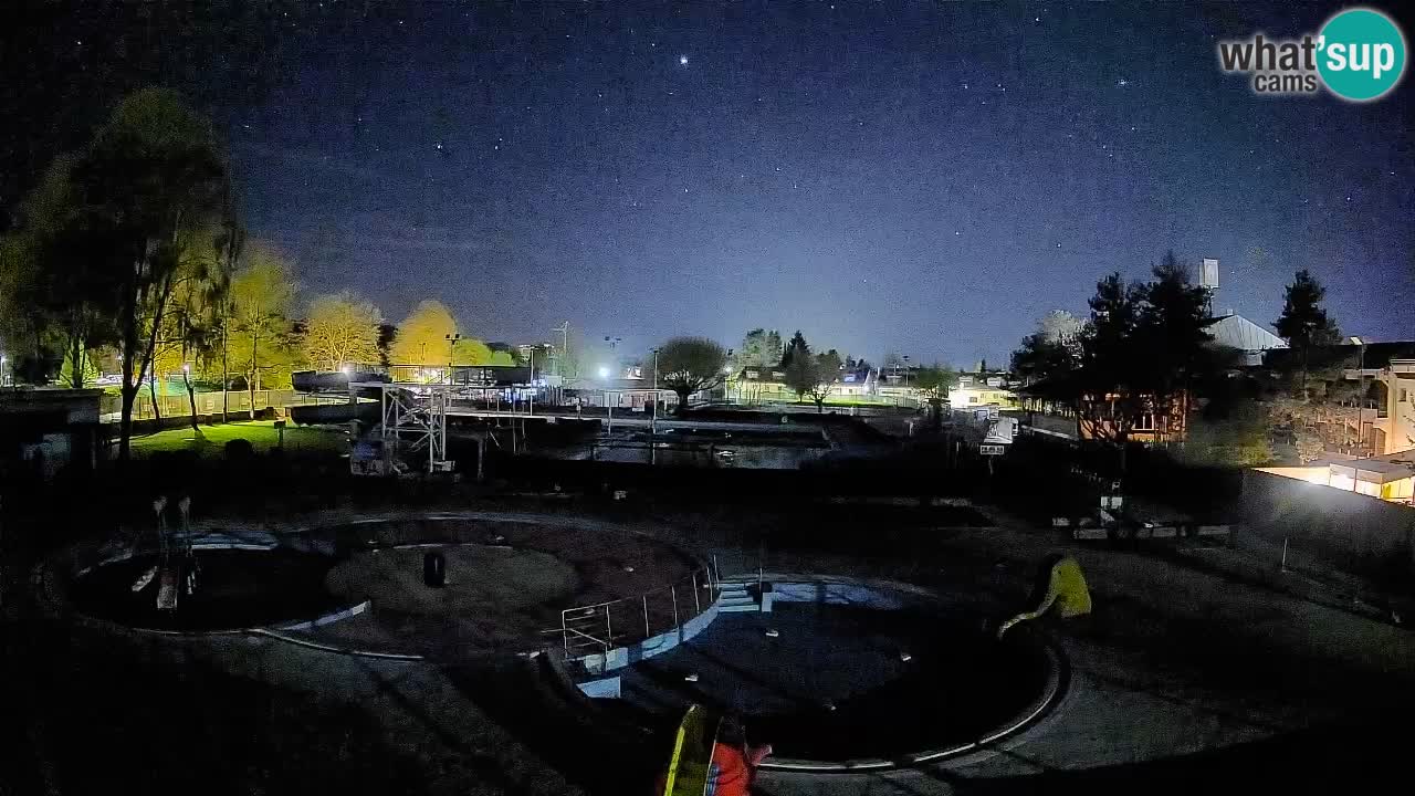 Celje summer open-air swimming pool