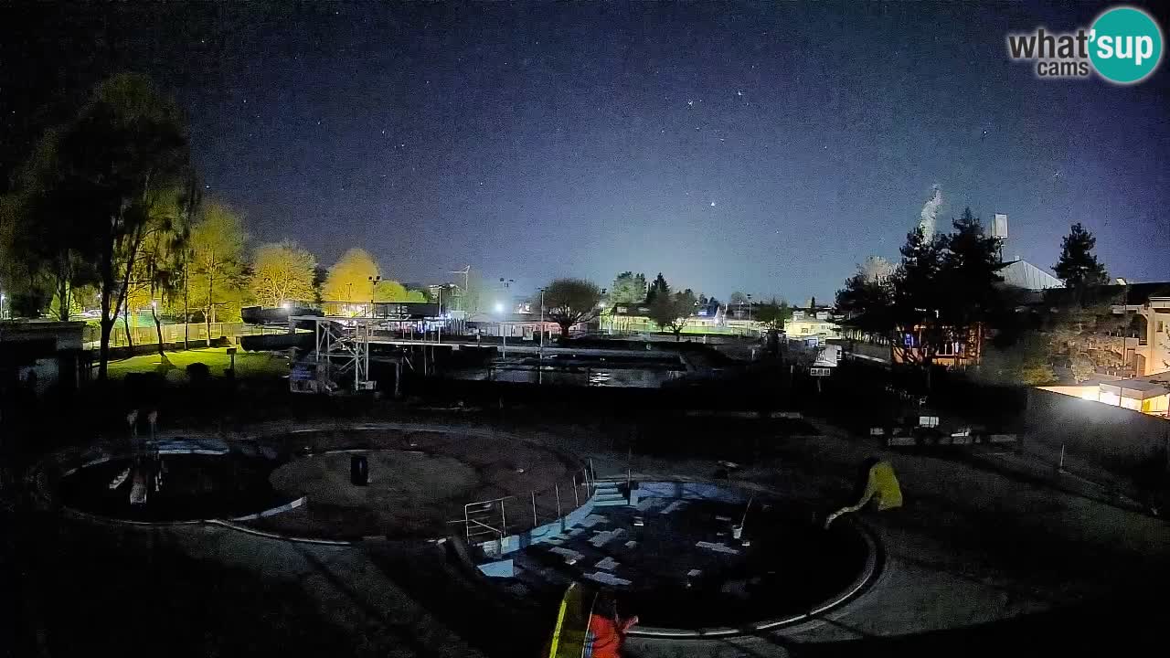 Celje summer open-air swimming pool
