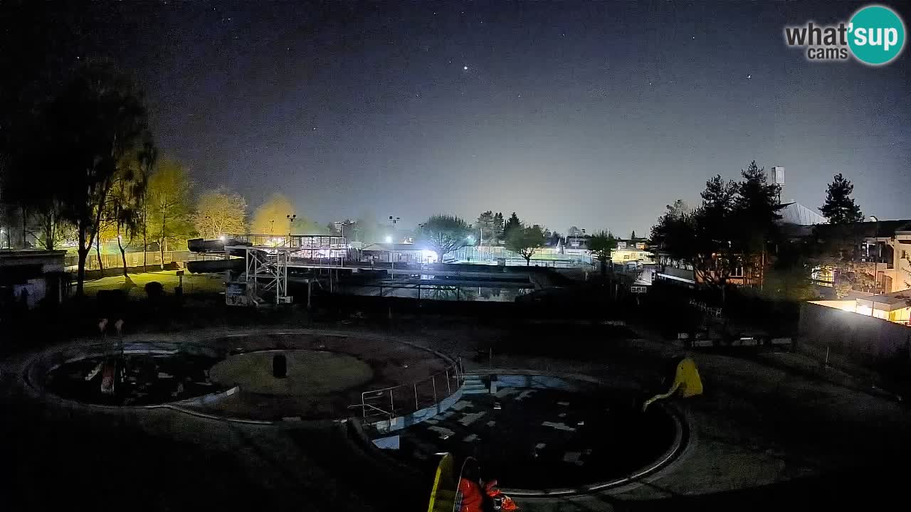 Celje – Letno kopališče