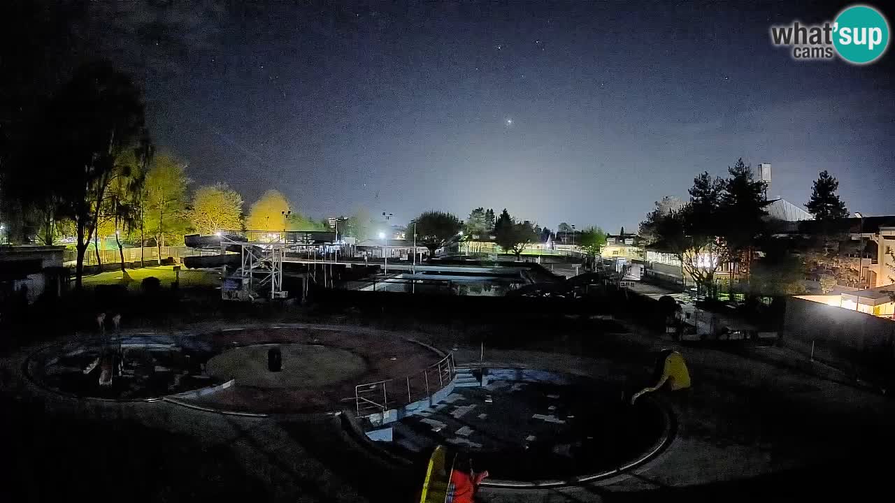 Celje – Letno kopališče