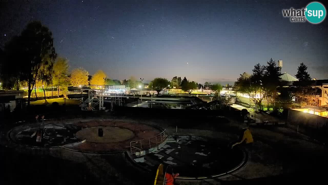 Celje – Piscine d’été