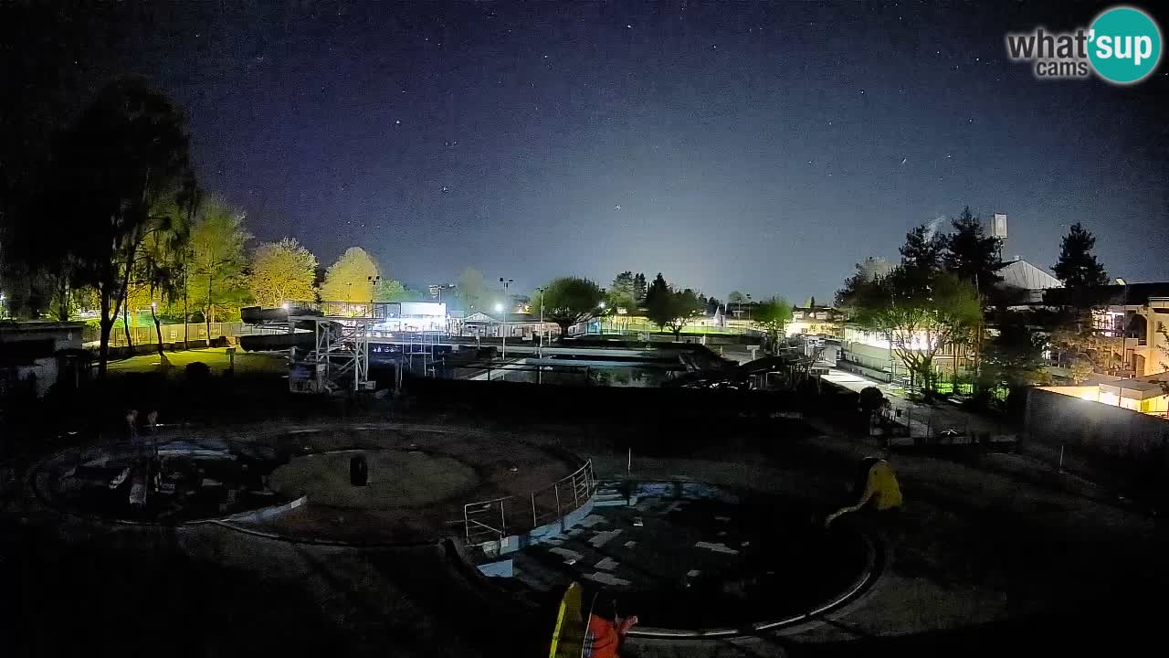 Celje – piscina al aire libre