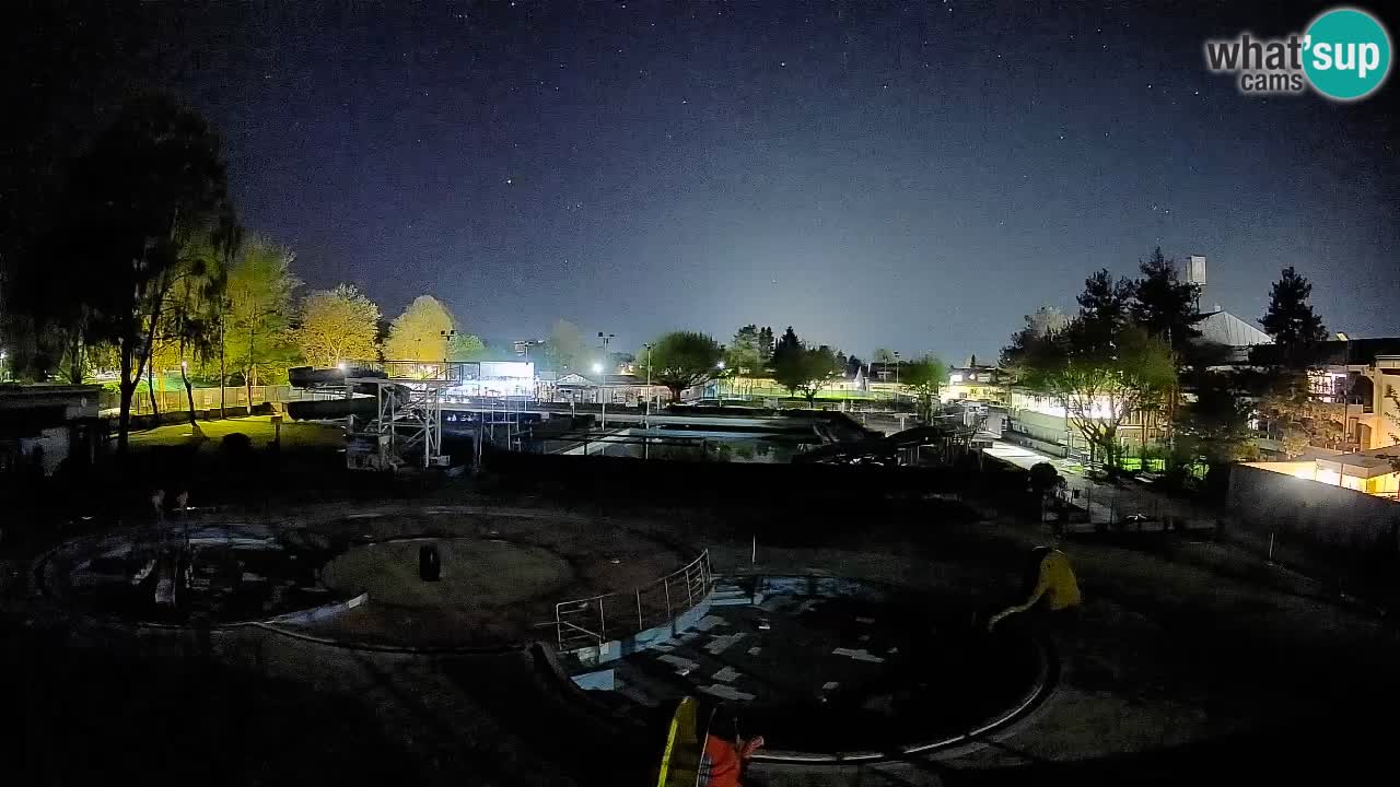 Celje – piscina al aire libre