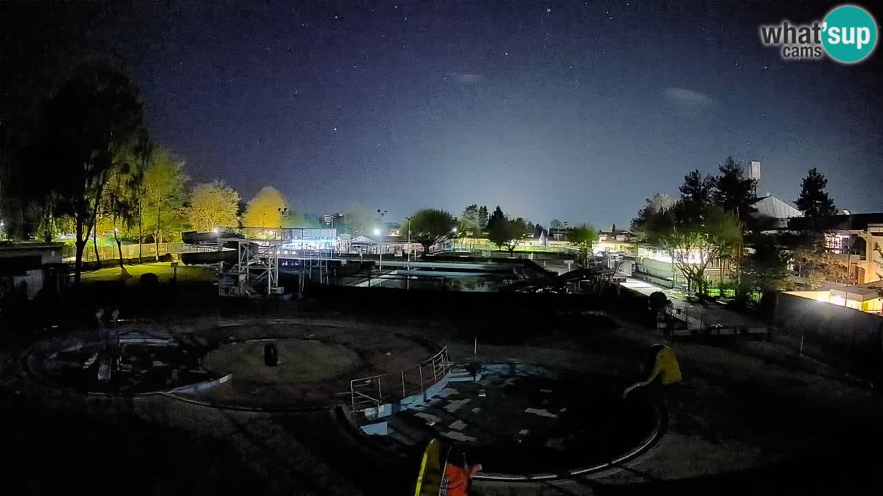 Celje – Piscina estiva