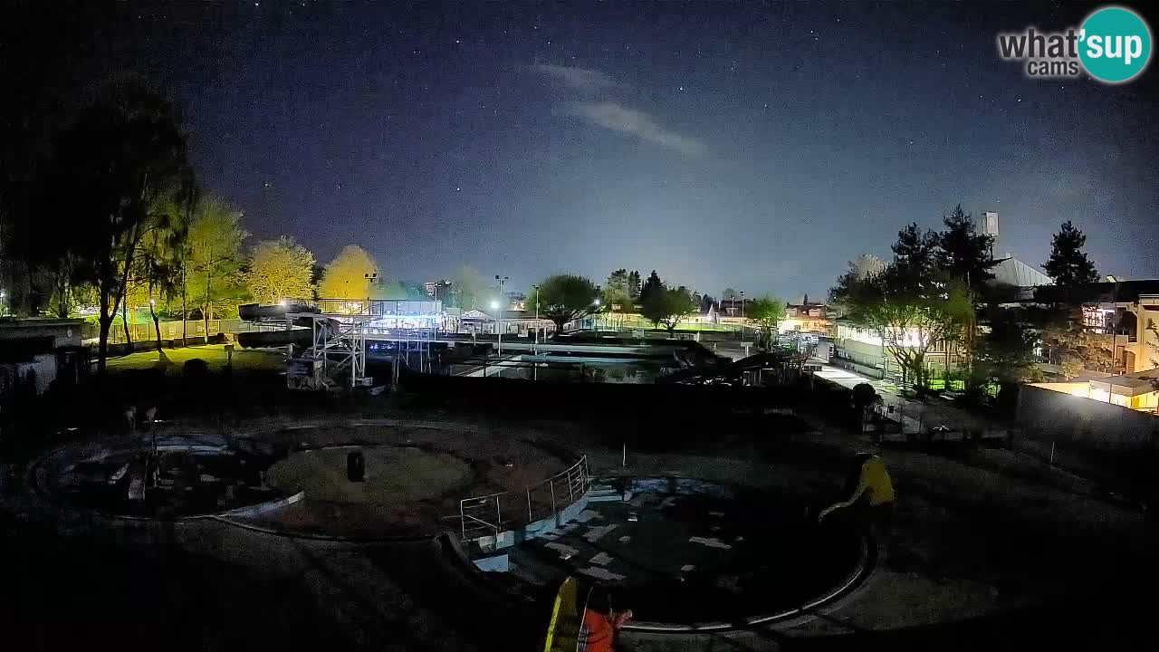 Celje summer open-air swimming pool