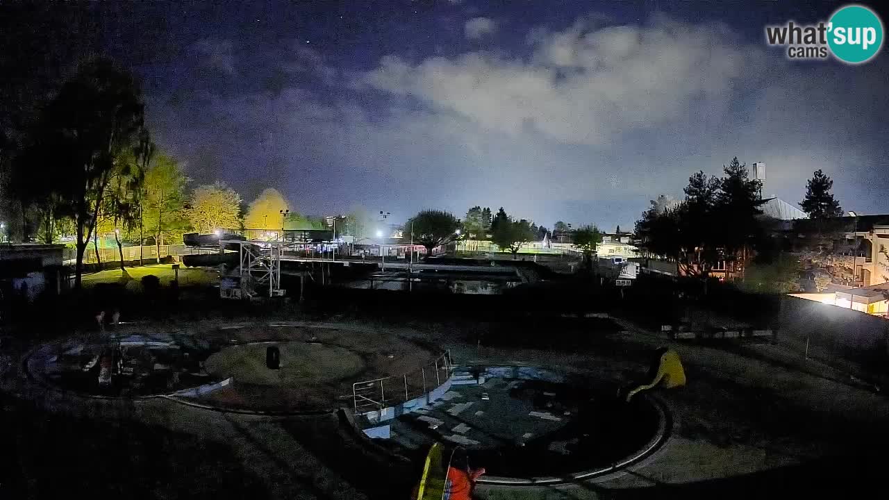 Celje – Sommerpool