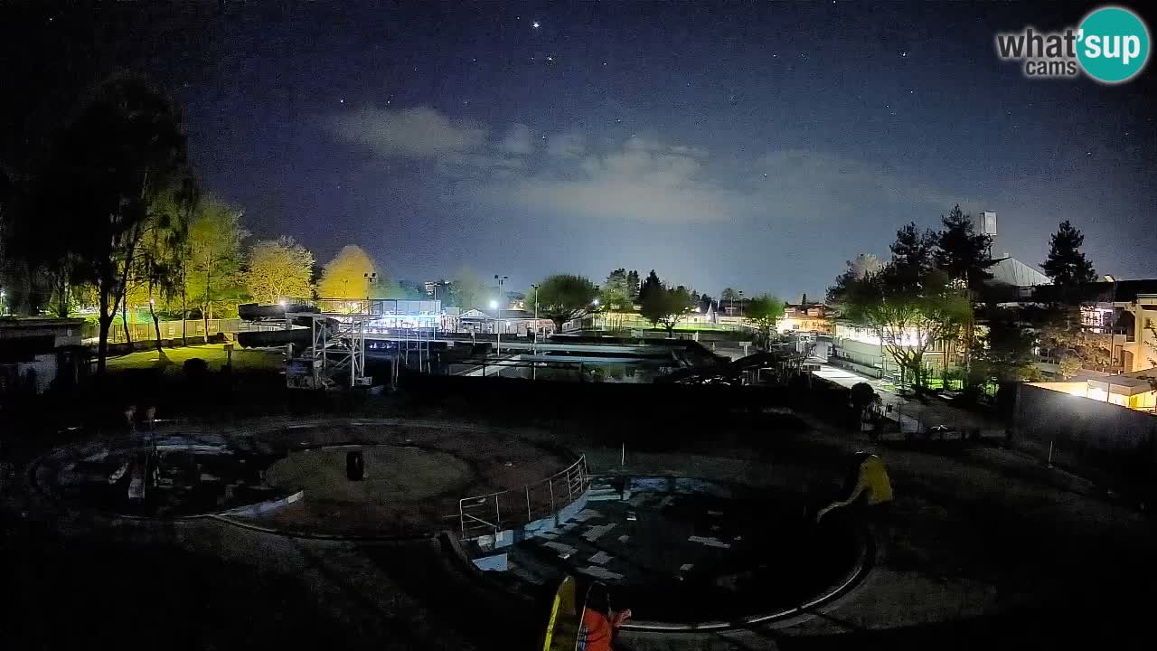 Celje – Piscina estiva