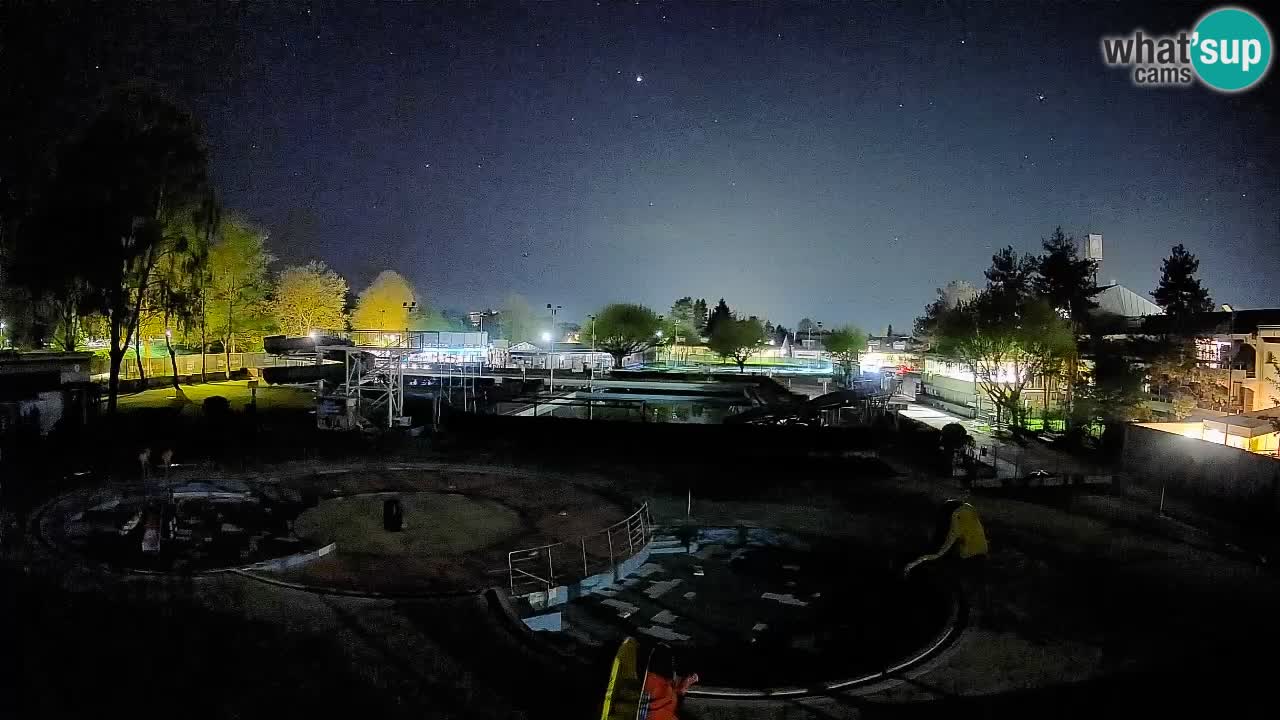Celje summer open-air swimming pool