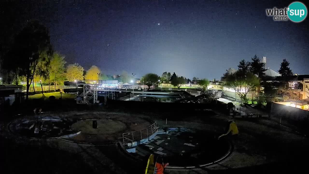 Celje – Piscina estiva