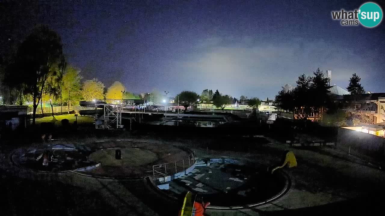 Celje – Sommerpool