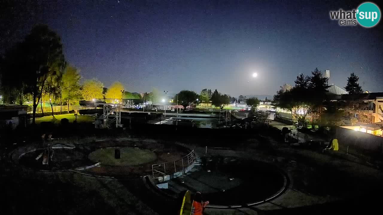 Celje – ljetni bazen