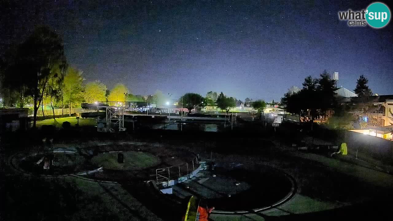 Celje summer open-air swimming pool