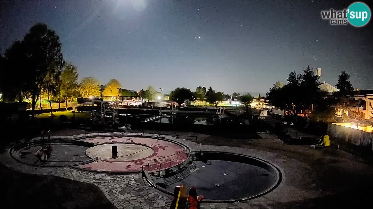 Celje – piscina al aire libre