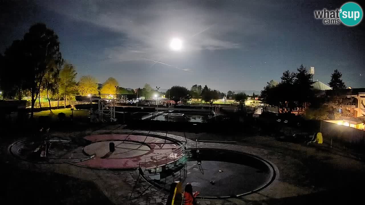 Celje – Sommerpool