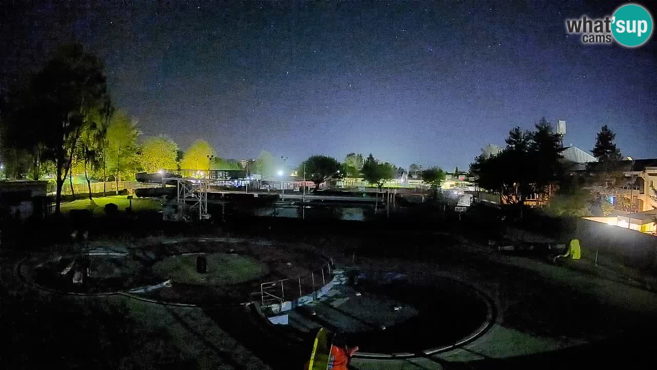 Celje summer open-air swimming pool