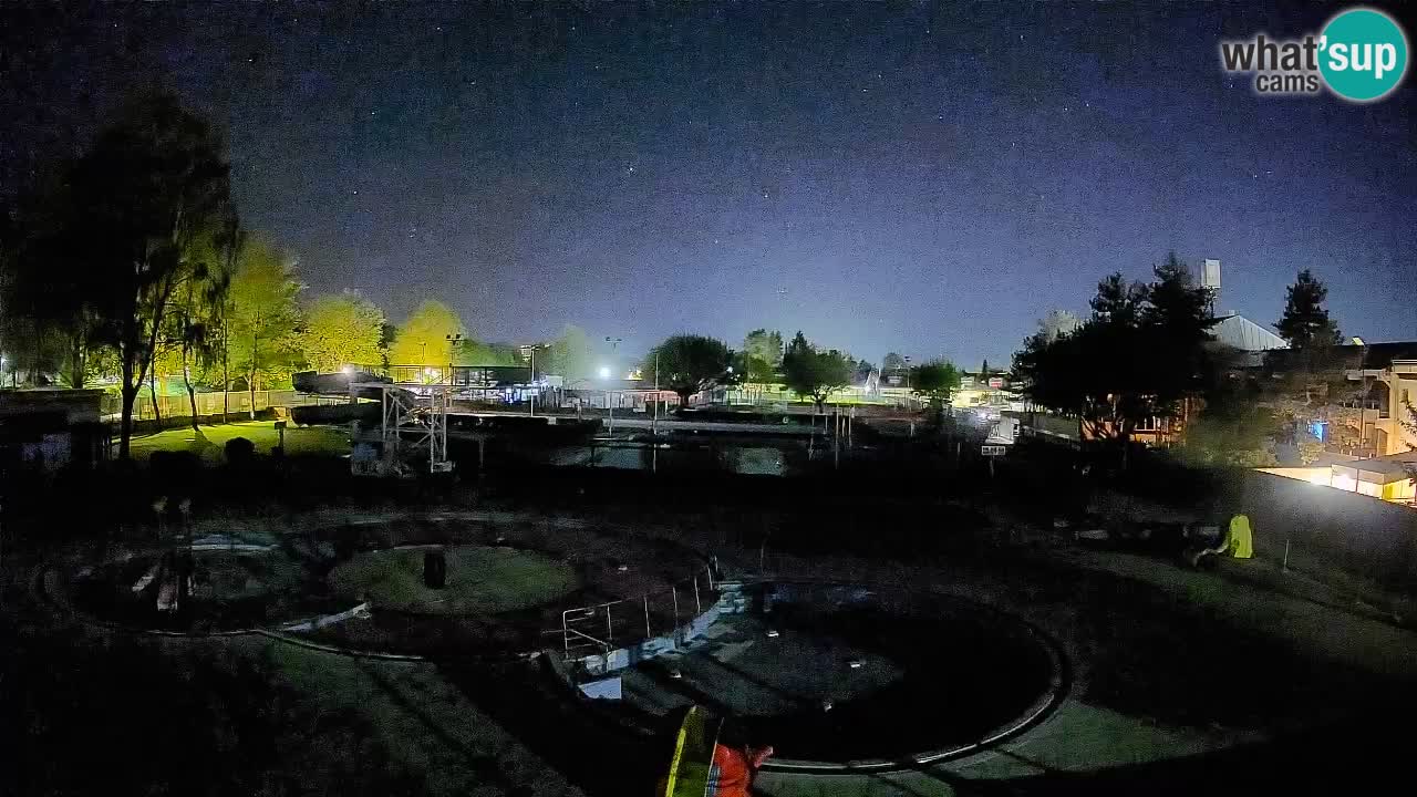 Celje – Sommerpool