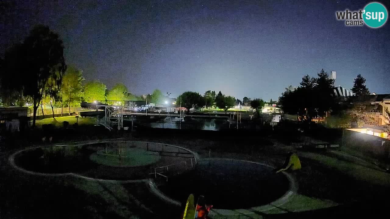 Celje summer open-air swimming pool