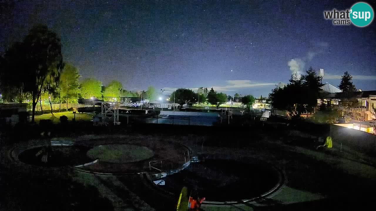 Celje – Sommerpool