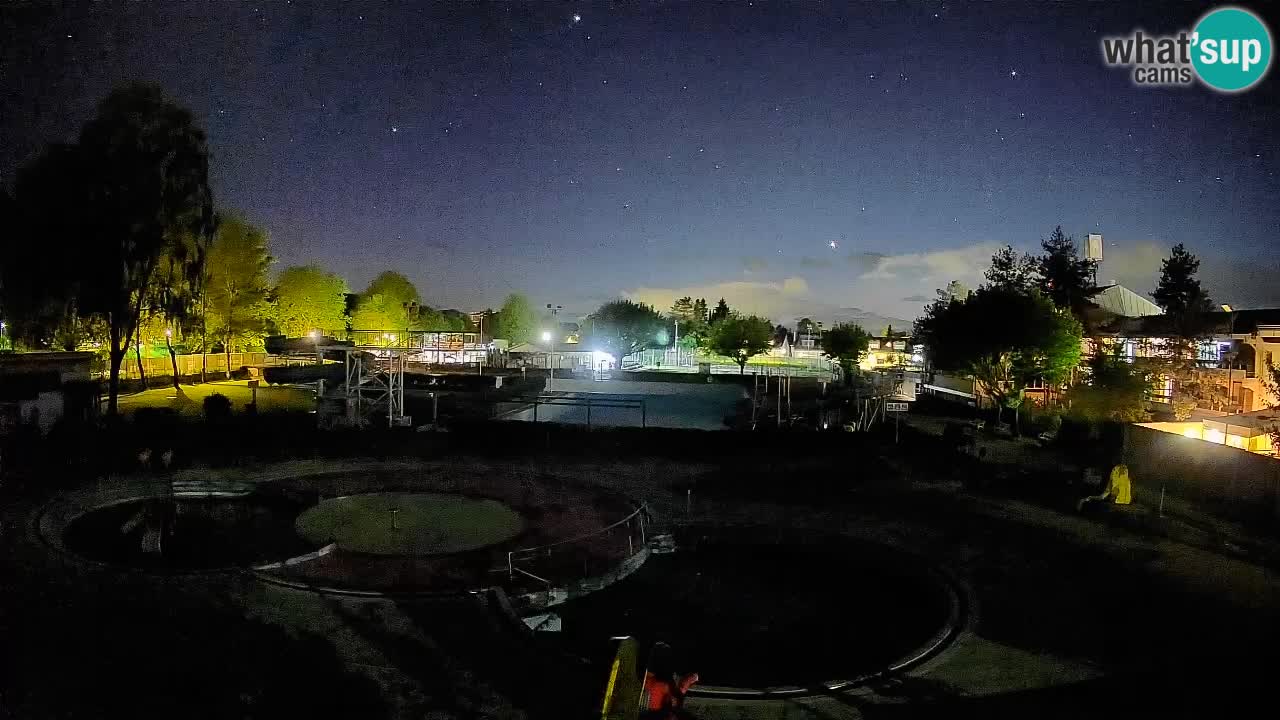 Celje – Piscina estiva
