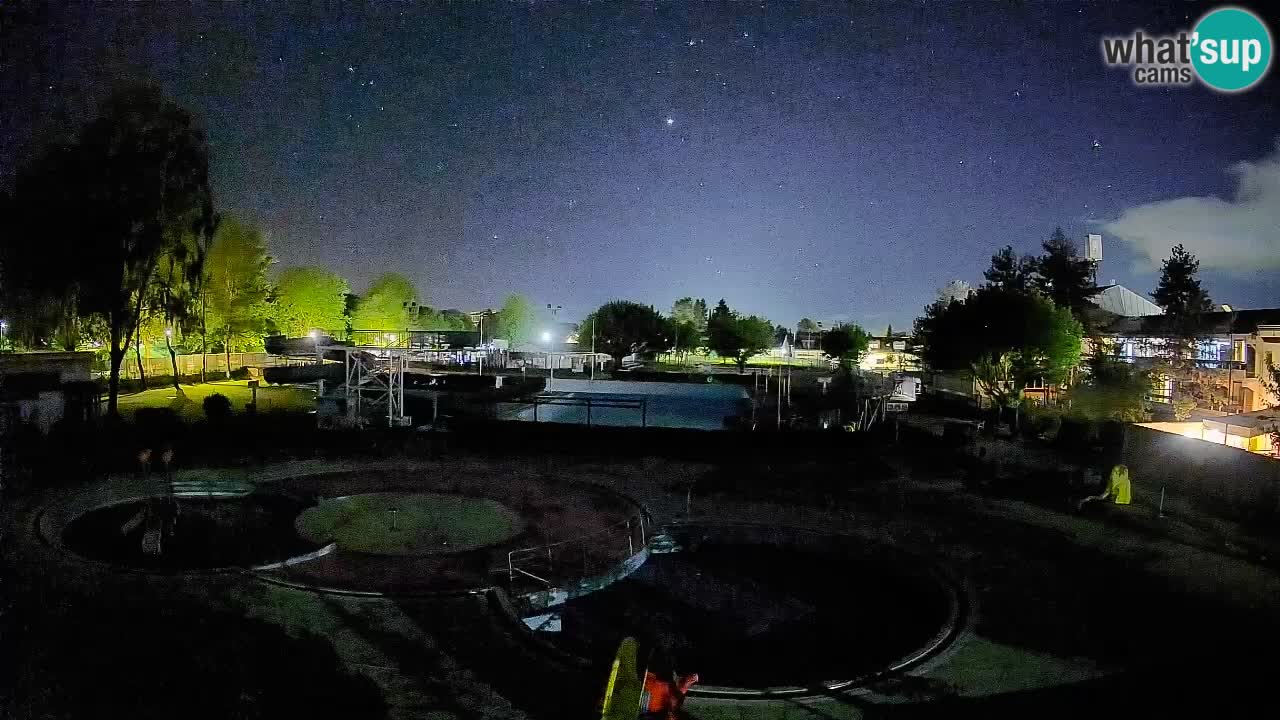 Celje – Piscina estiva